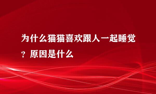 为什么猫猫喜欢跟人一起睡觉？原因是什么