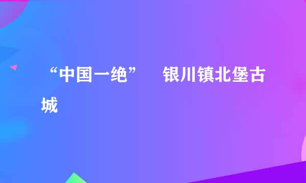 “中国一绝”　银川镇北堡古城