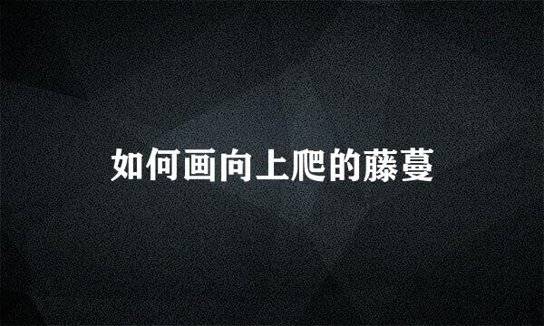 如何画向上爬的藤蔓