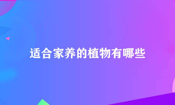 适合家养的植物有哪些