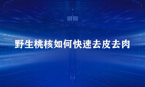 野生桃核如何快速去皮去肉