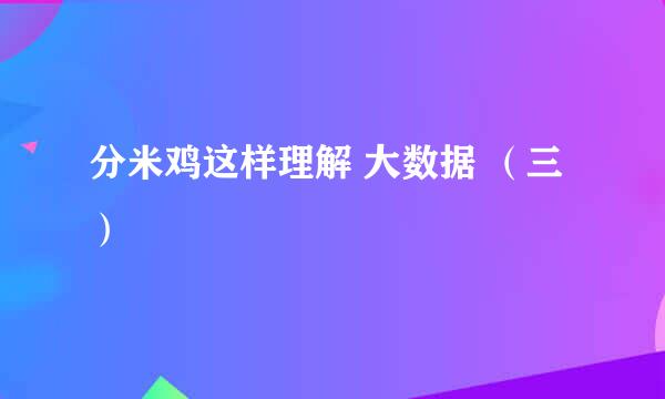 分米鸡这样理解 大数据 （三）