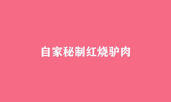 自家秘制红烧驴肉