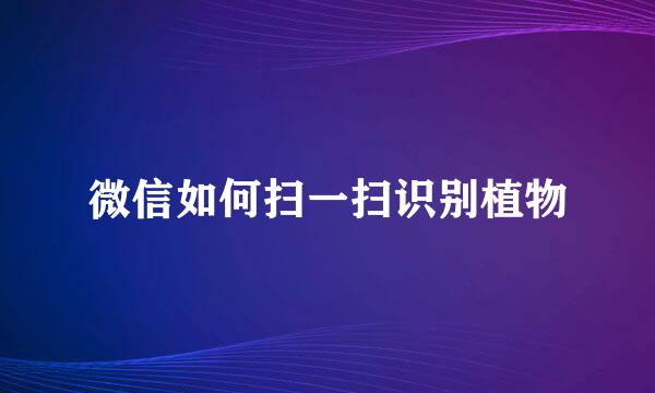 微信如何扫一扫识别植物