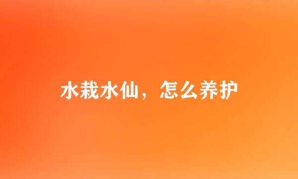 水栽水仙，怎么养护