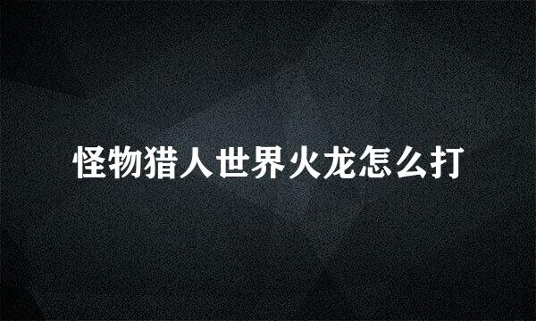 怪物猎人世界火龙怎么打