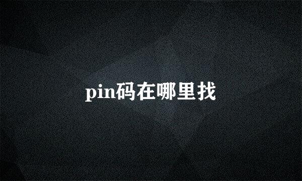 pin码在哪里找