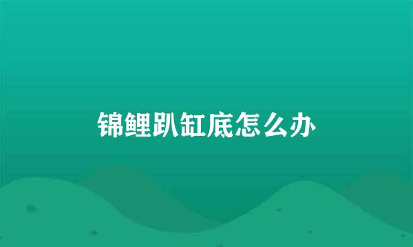 锦鲤趴缸底怎么办
