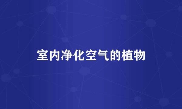 室内净化空气的植物