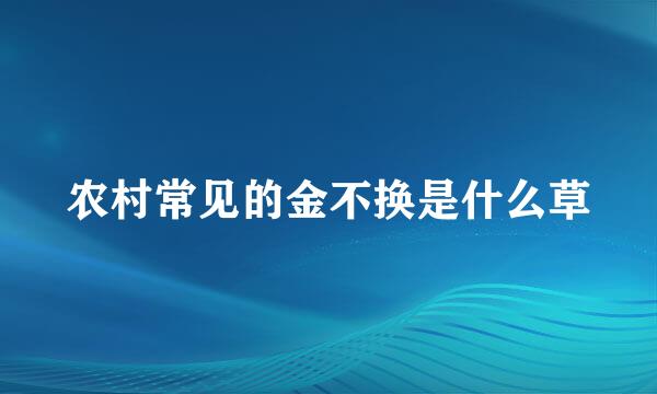 农村常见的金不换是什么草
