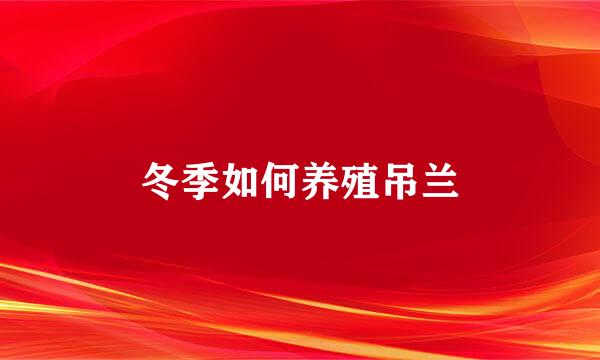 冬季如何养殖吊兰