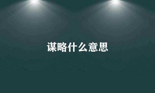 谋略什么意思