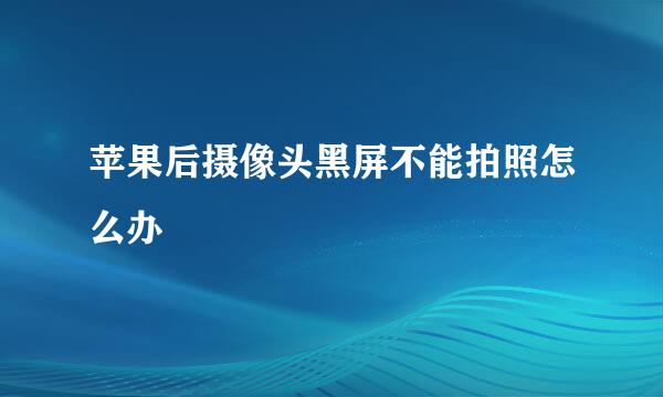 苹果后摄像头黑屏不能拍照怎么办