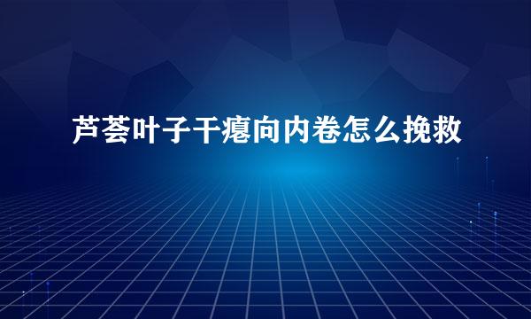 芦荟叶子干瘪向内卷怎么挽救