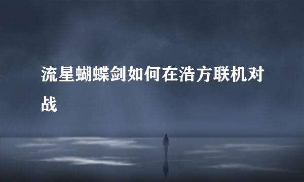 流星蝴蝶剑如何在浩方联机对战