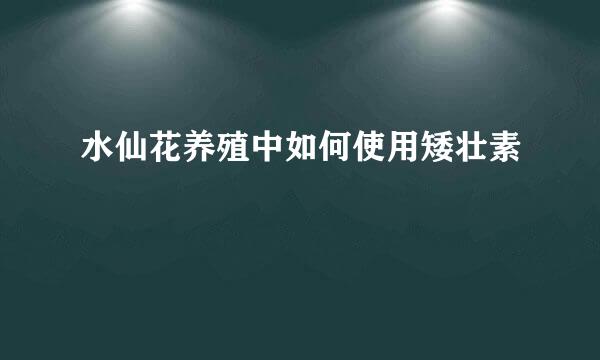 水仙花养殖中如何使用矮壮素