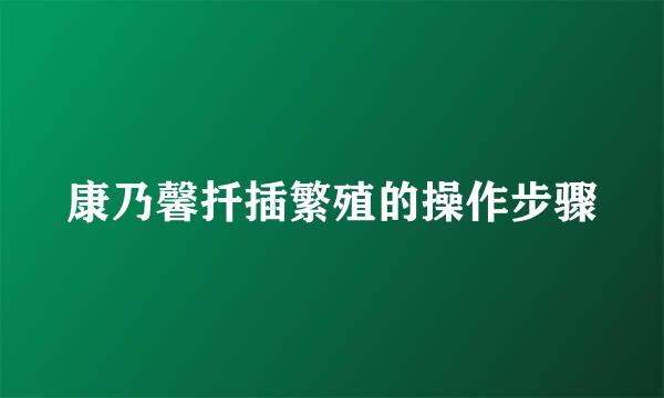 康乃馨扦插繁殖的操作步骤