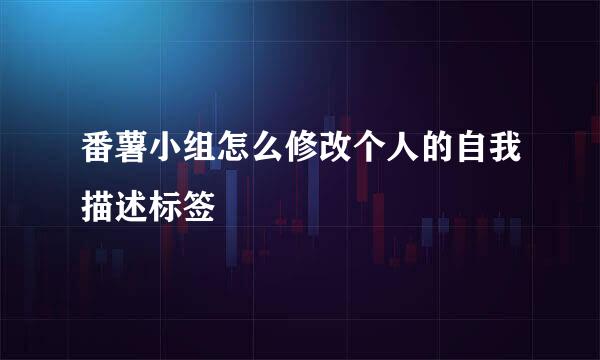 番薯小组怎么修改个人的自我描述标签