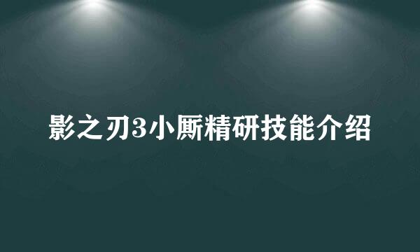 影之刃3小厮精研技能介绍