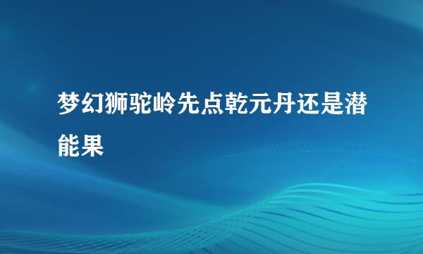 梦幻狮驼岭先点乾元丹还是潜能果