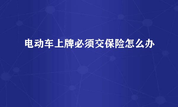 电动车上牌必须交保险怎么办