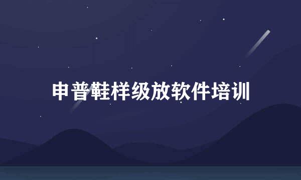 申普鞋样级放软件培训