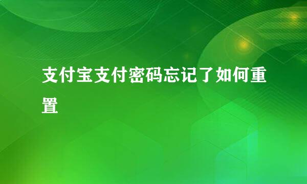 支付宝支付密码忘记了如何重置