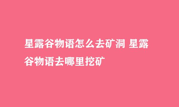 星露谷物语怎么去矿洞 星露谷物语去哪里挖矿