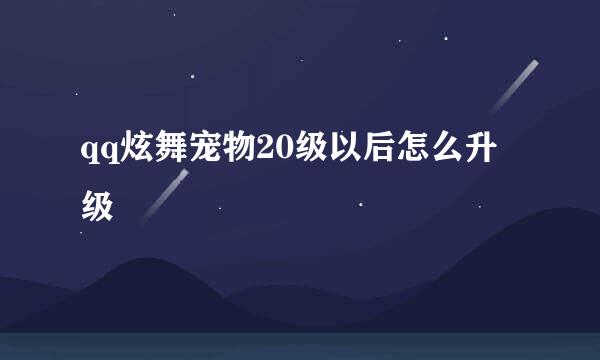 qq炫舞宠物20级以后怎么升级