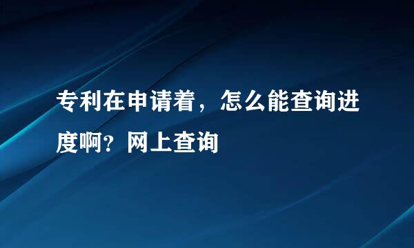 专利在申请着,怎么能查询进度啊?网上查询