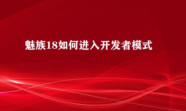 魅族18如何进入开发者模式