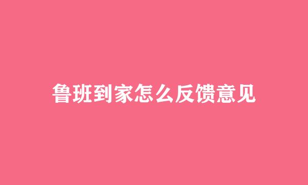 鲁班到家怎么反馈意见
