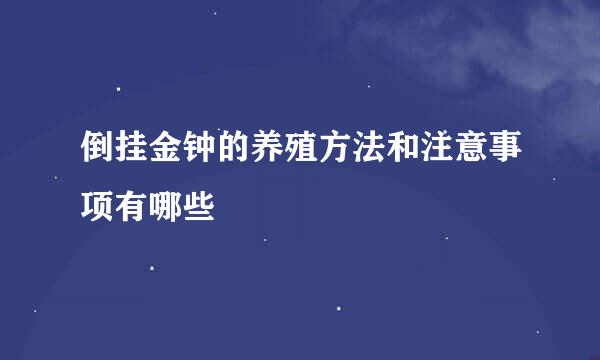 倒挂金钟的养殖方法和注意事项有哪些
