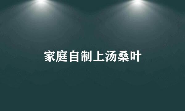 家庭自制上汤桑叶