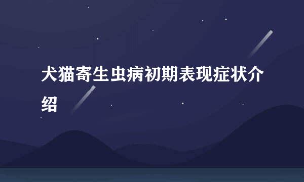 犬猫寄生虫病初期表现症状介绍