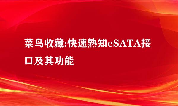 菜鸟收藏:快速熟知eSATA接口及其功能