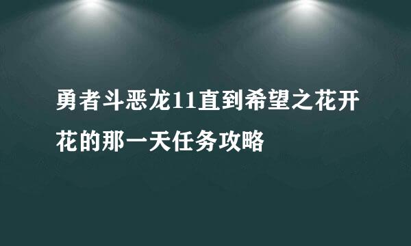 勇者斗恶龙11直到希望之花开花的那一天任务攻略