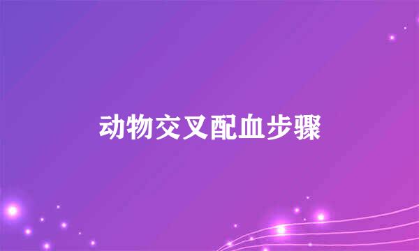 动物交叉配血步骤