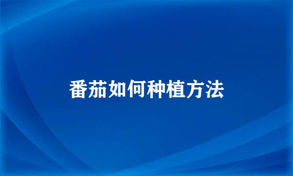 番茄如何种植方法