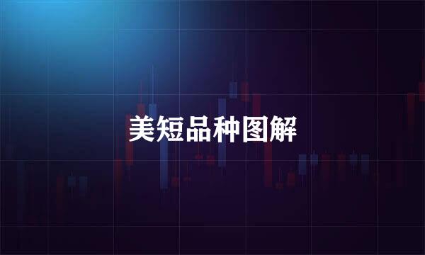 美短品种图解