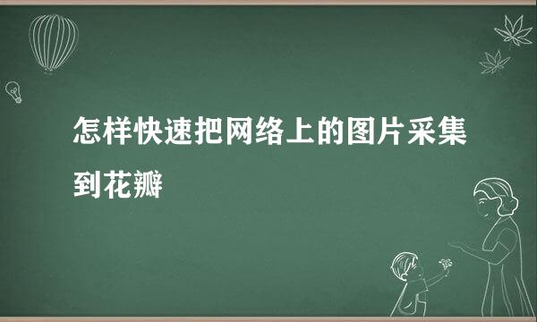 怎样快速把网络上的图片采集到花瓣