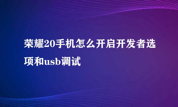 荣耀20手机怎么开启开发者选项和usb调试