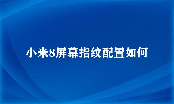 小米8屏幕指纹配置如何