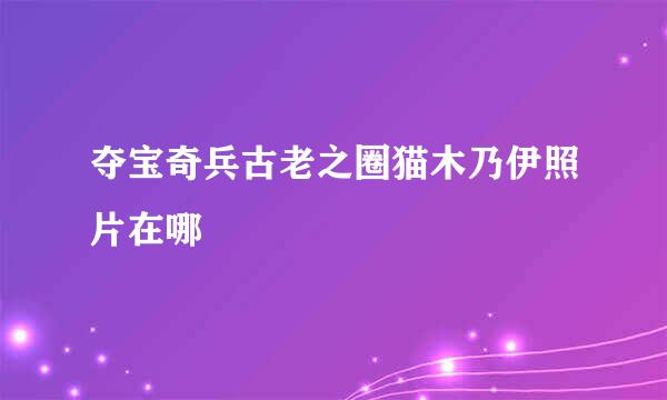 夺宝奇兵古老之圈猫木乃伊照片在哪