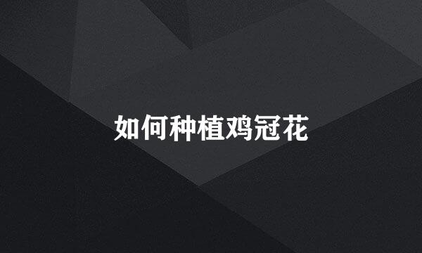 如何种植鸡冠花