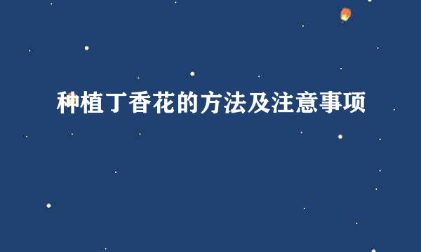 种植丁香花的方法及注意事项
