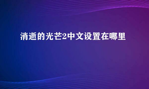 消逝的光芒2中文设置在哪里