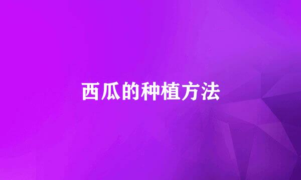 西瓜的种植方法
