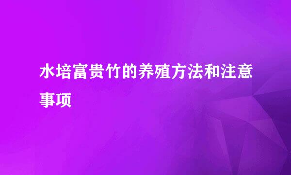 水培富贵竹的养殖方法和注意事项