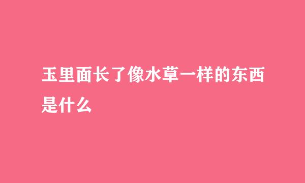 玉里面长了像水草一样的东西是什么